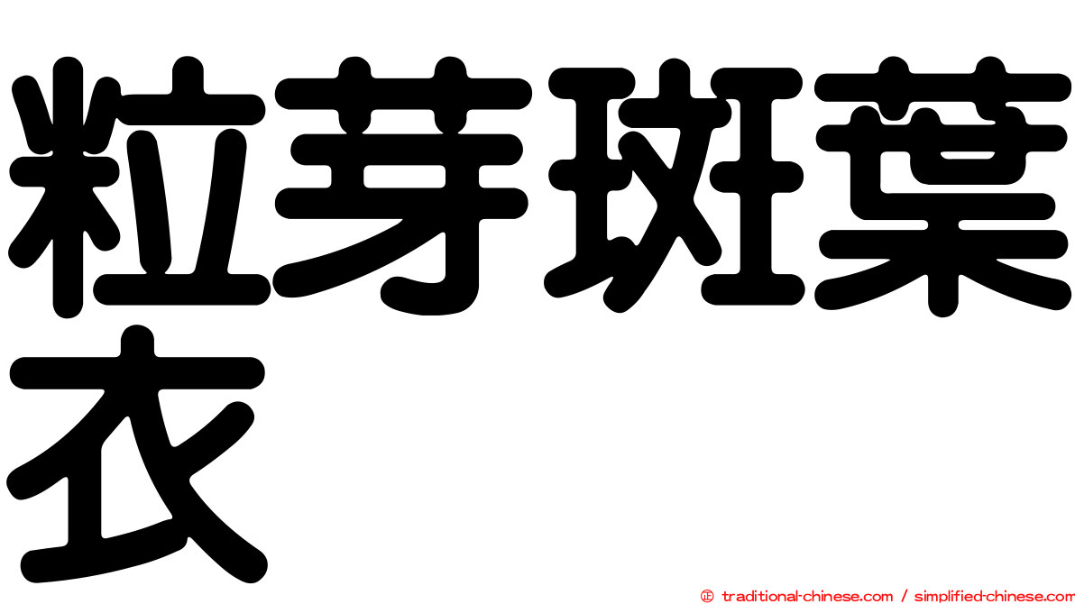 粒芽斑葉衣