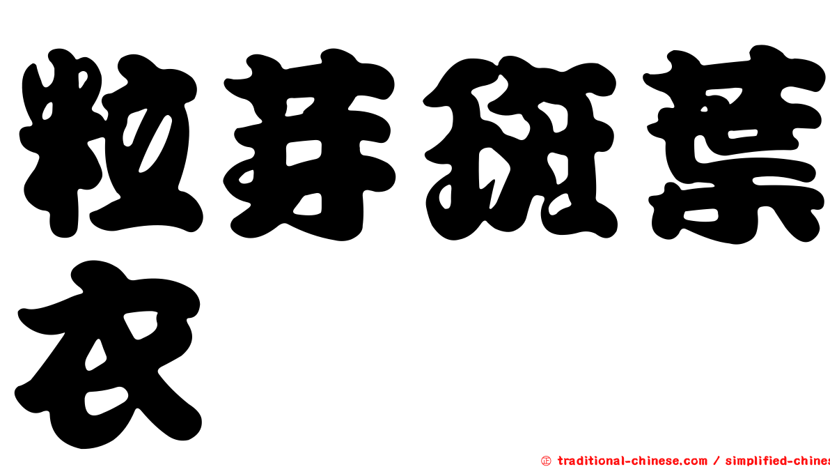 粒芽斑葉衣