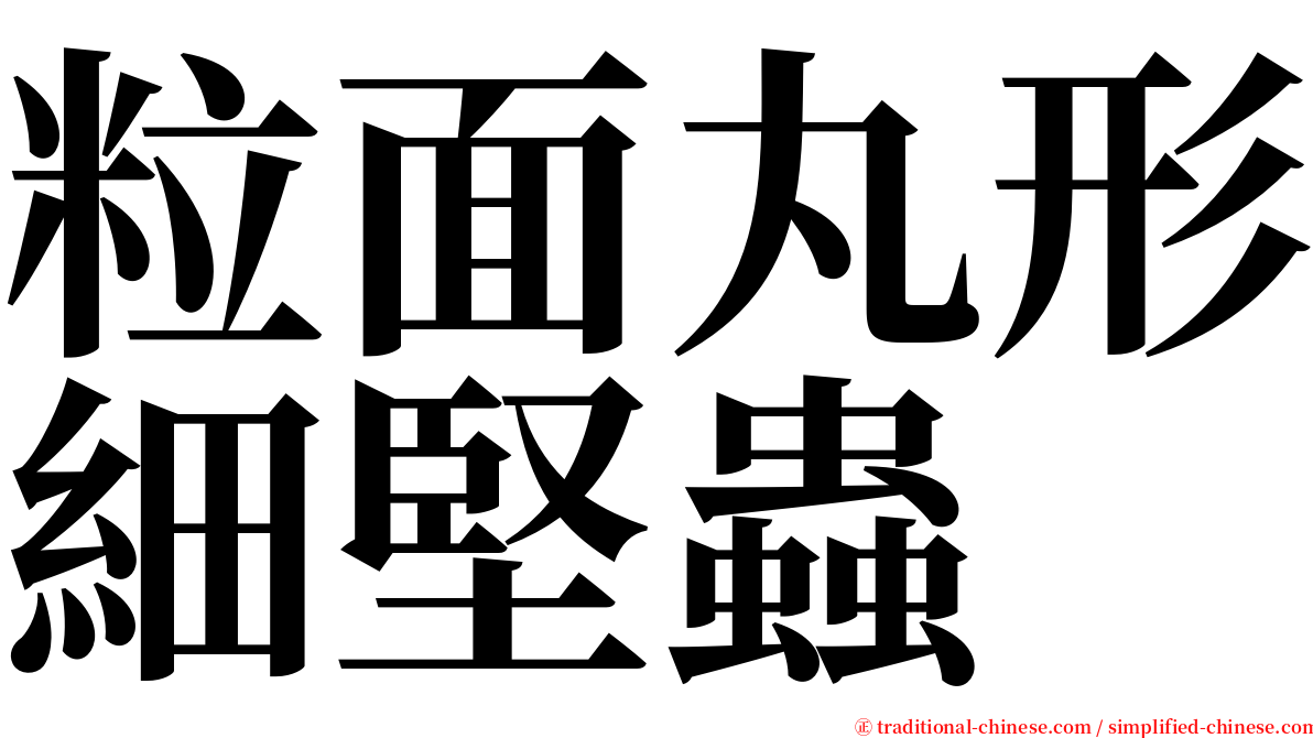 粒面丸形細堅蟲 serif font