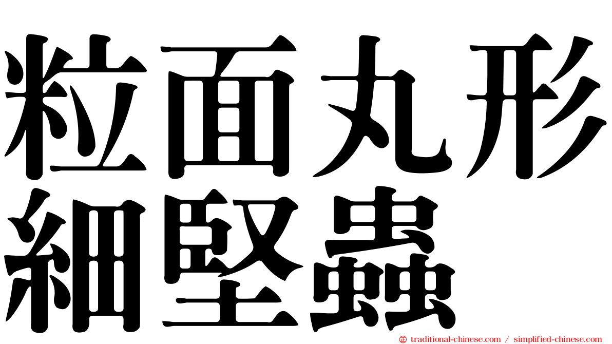 粒面丸形細堅蟲