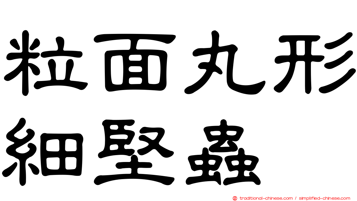 粒面丸形細堅蟲
