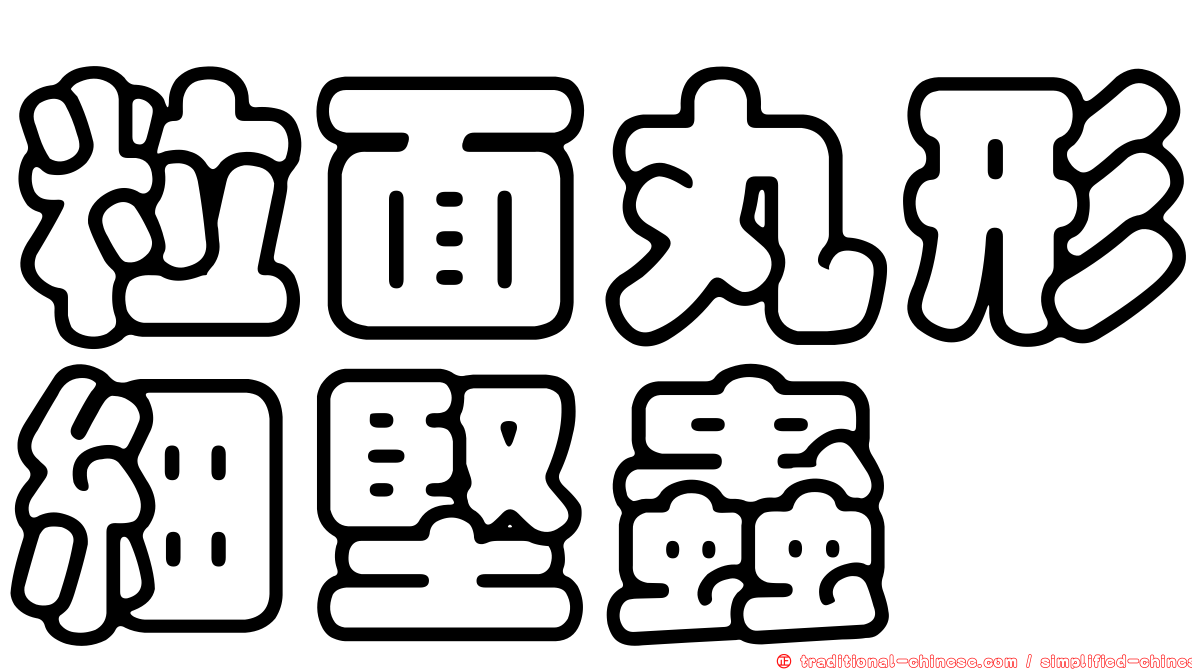 粒面丸形細堅蟲