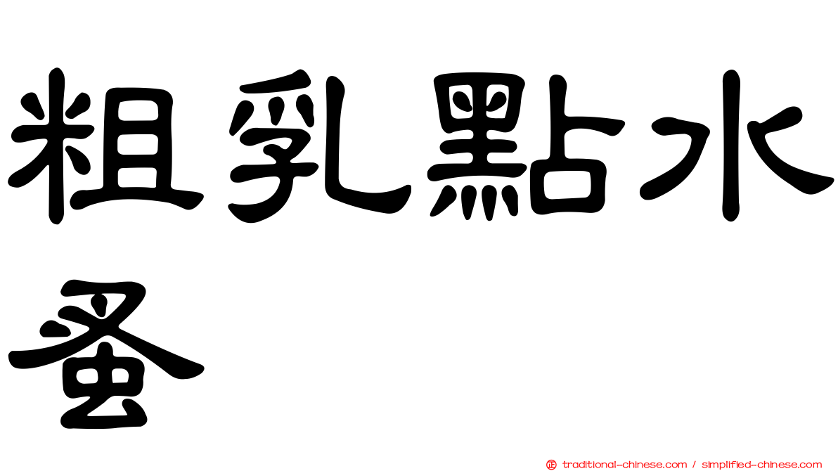 粗乳點水蚤