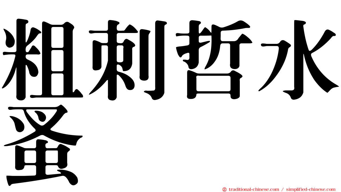 粗刺哲水蚤