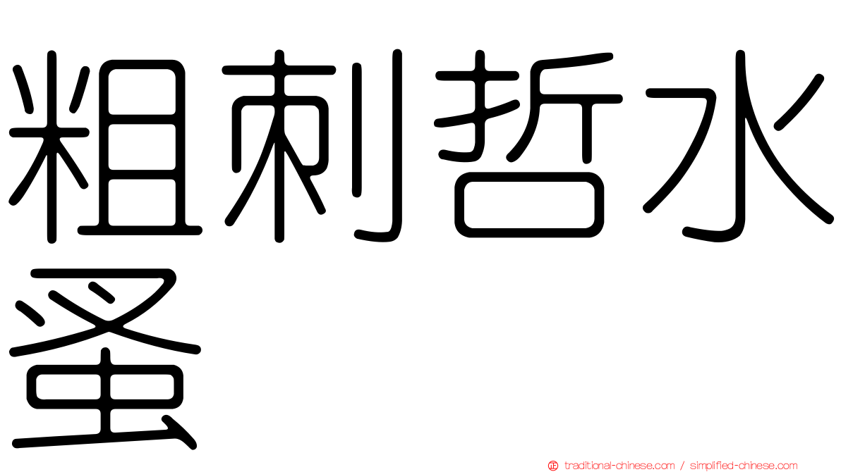 粗刺哲水蚤