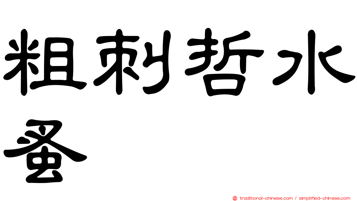 粗刺哲水蚤