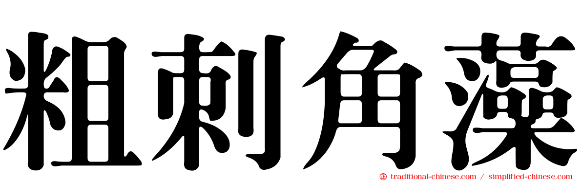 粗刺角藻
