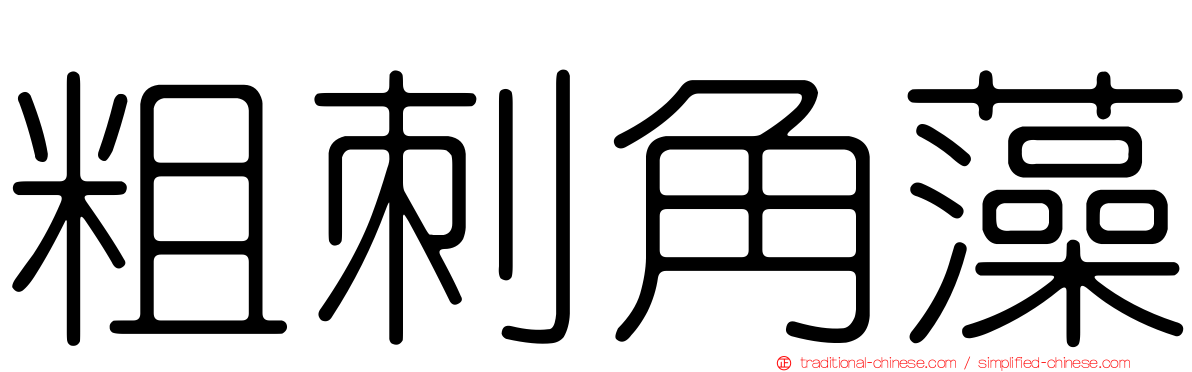 粗刺角藻