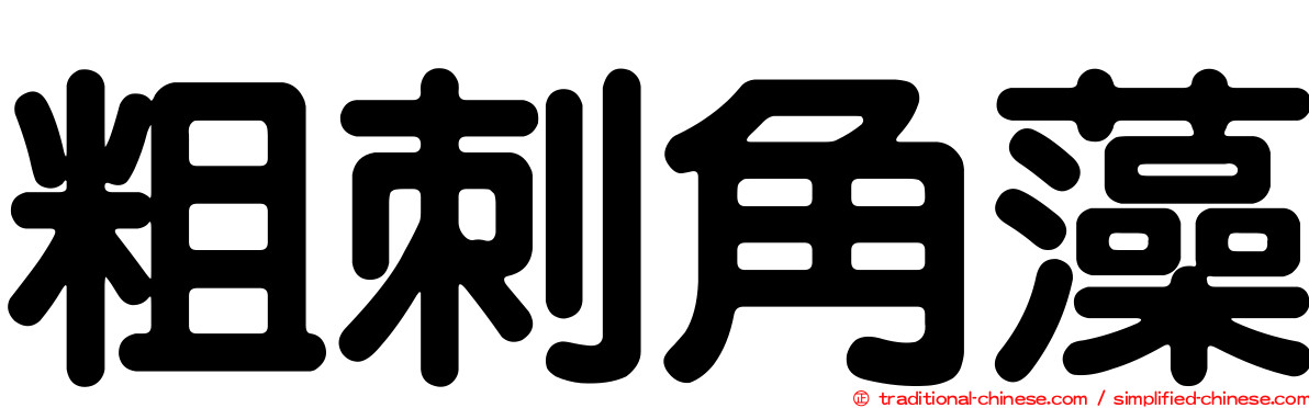 粗刺角藻