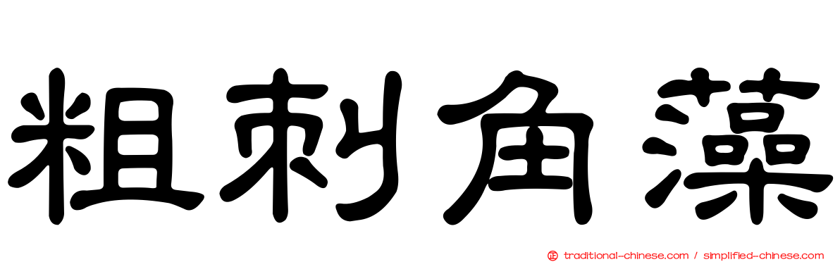 粗刺角藻