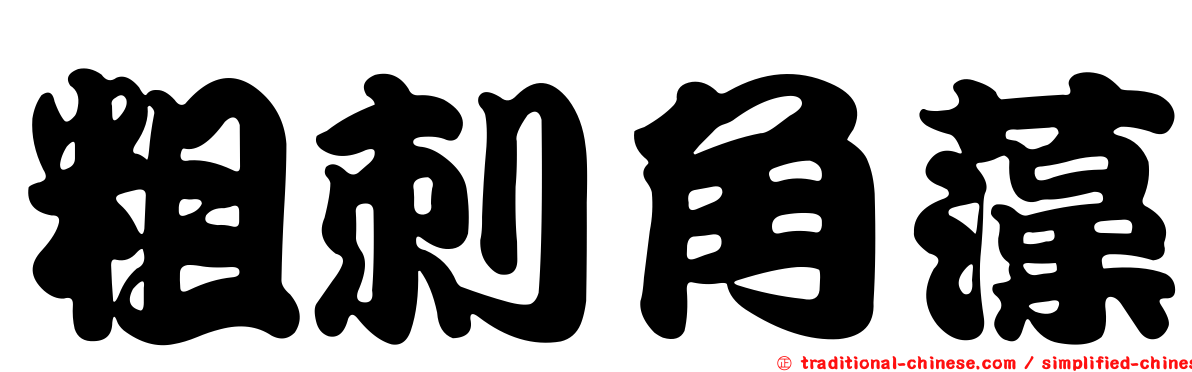 粗刺角藻