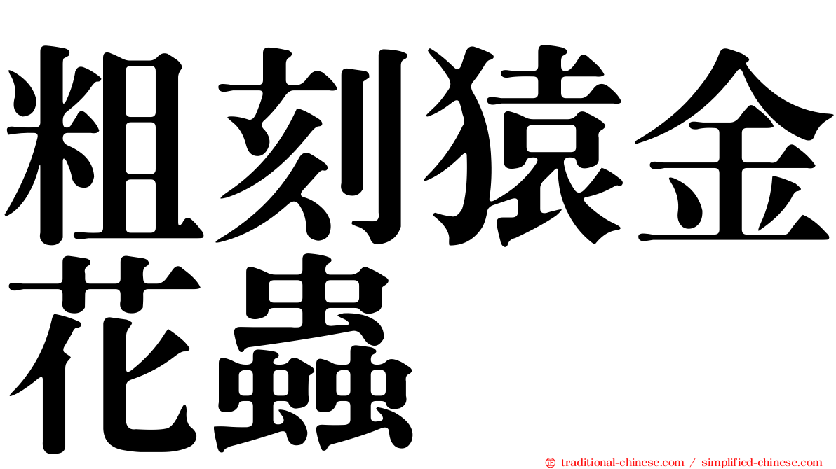 粗刻猿金花蟲