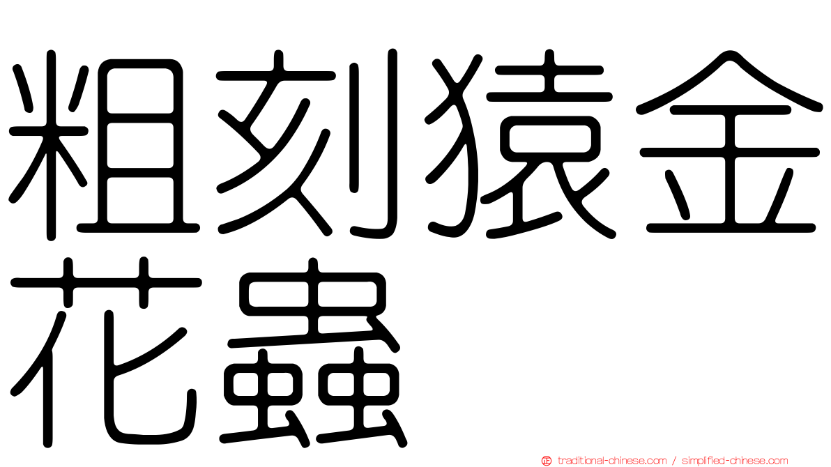 粗刻猿金花蟲