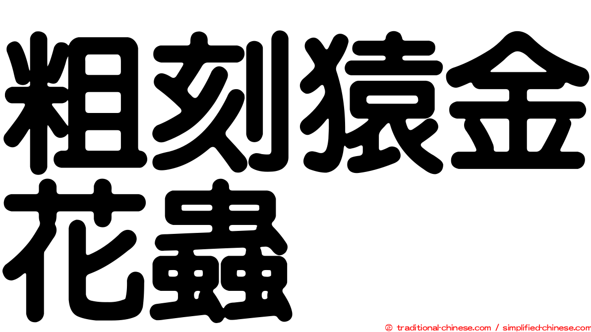 粗刻猿金花蟲