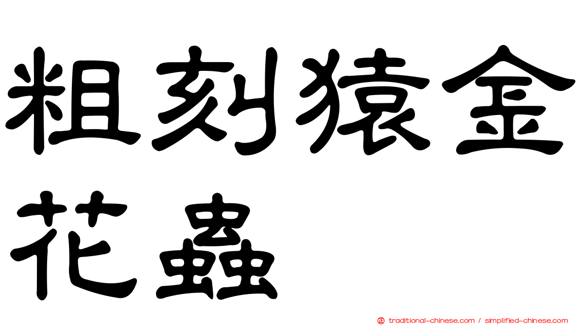 粗刻猿金花蟲