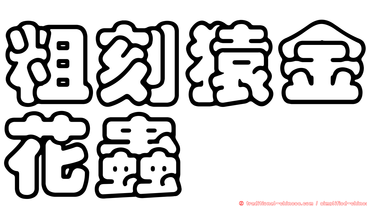 粗刻猿金花蟲
