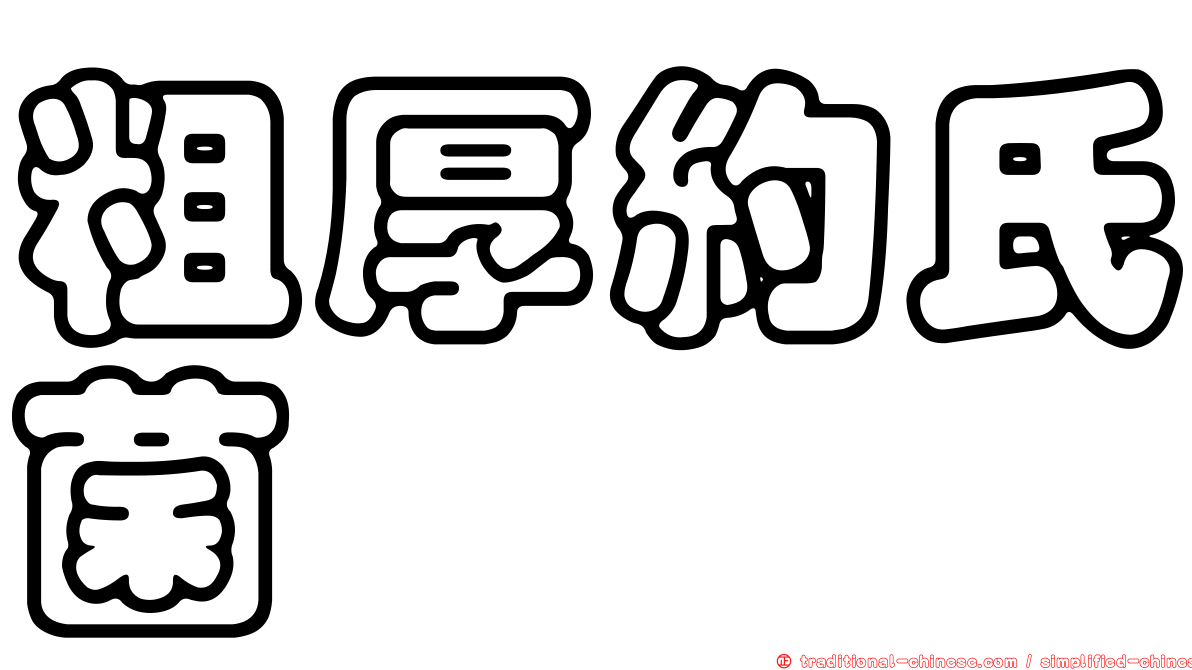 粗厚約氏菌