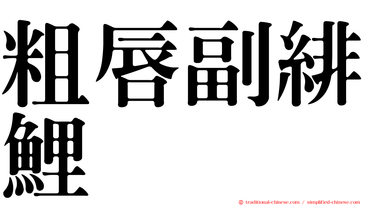 粗唇副緋鯉