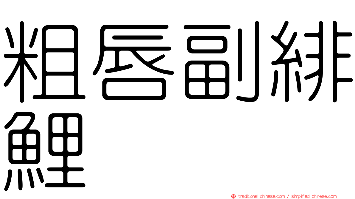 粗唇副緋鯉