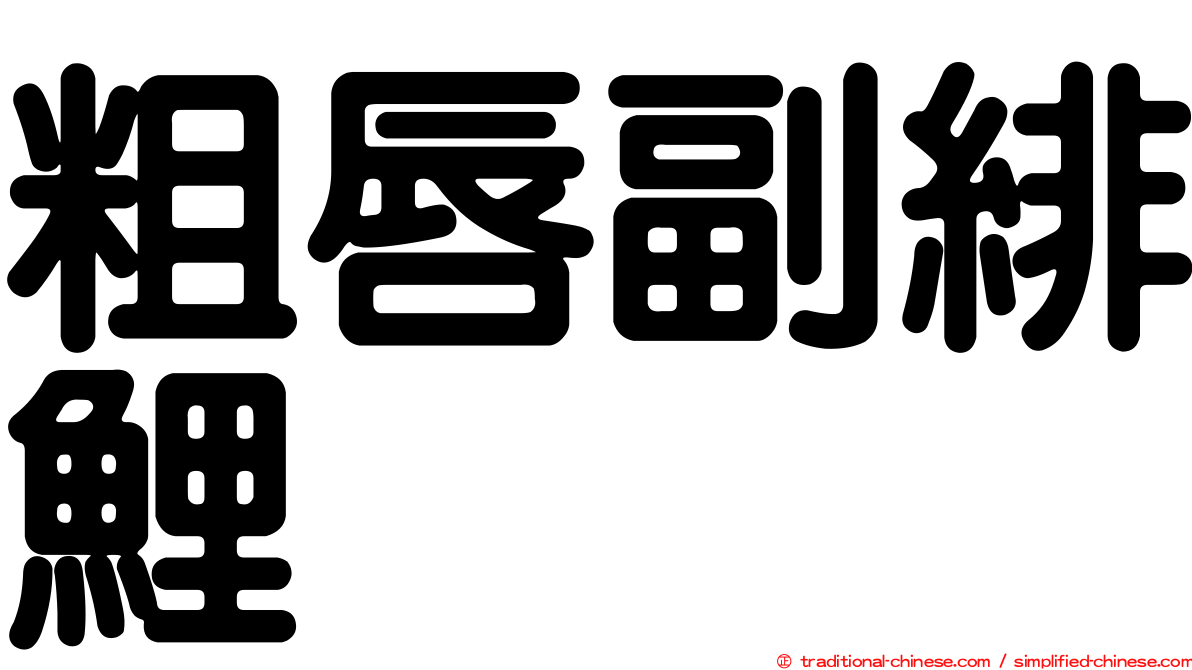 粗唇副緋鯉