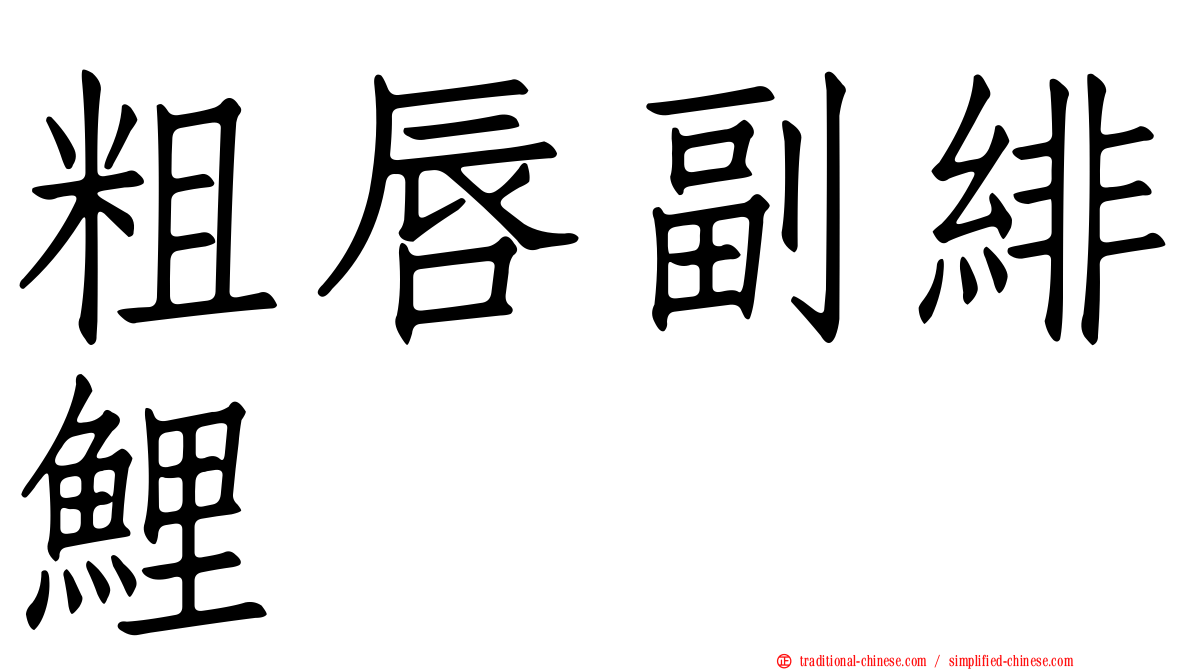 粗唇副緋鯉