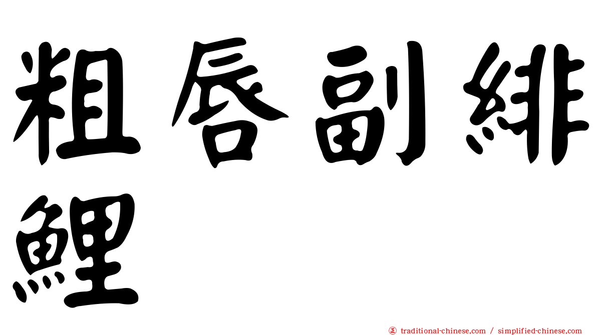 粗唇副緋鯉