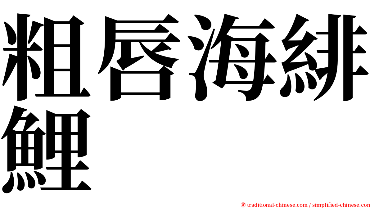 粗唇海緋鯉 serif font