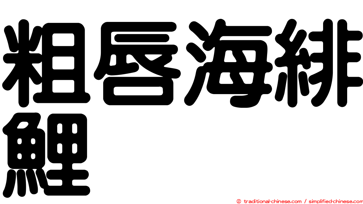 粗唇海緋鯉