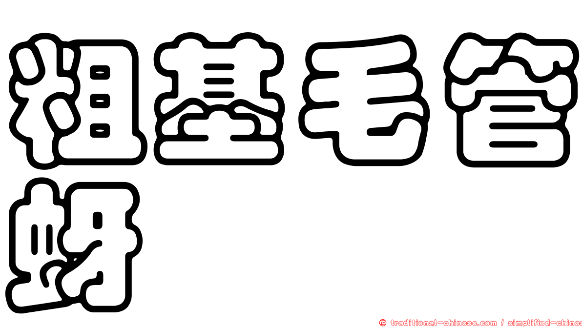 粗基毛管蚜