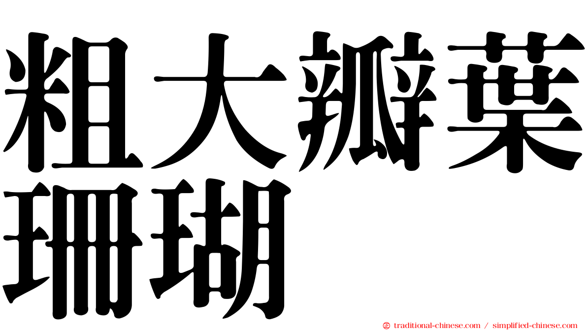 粗大瓣葉珊瑚