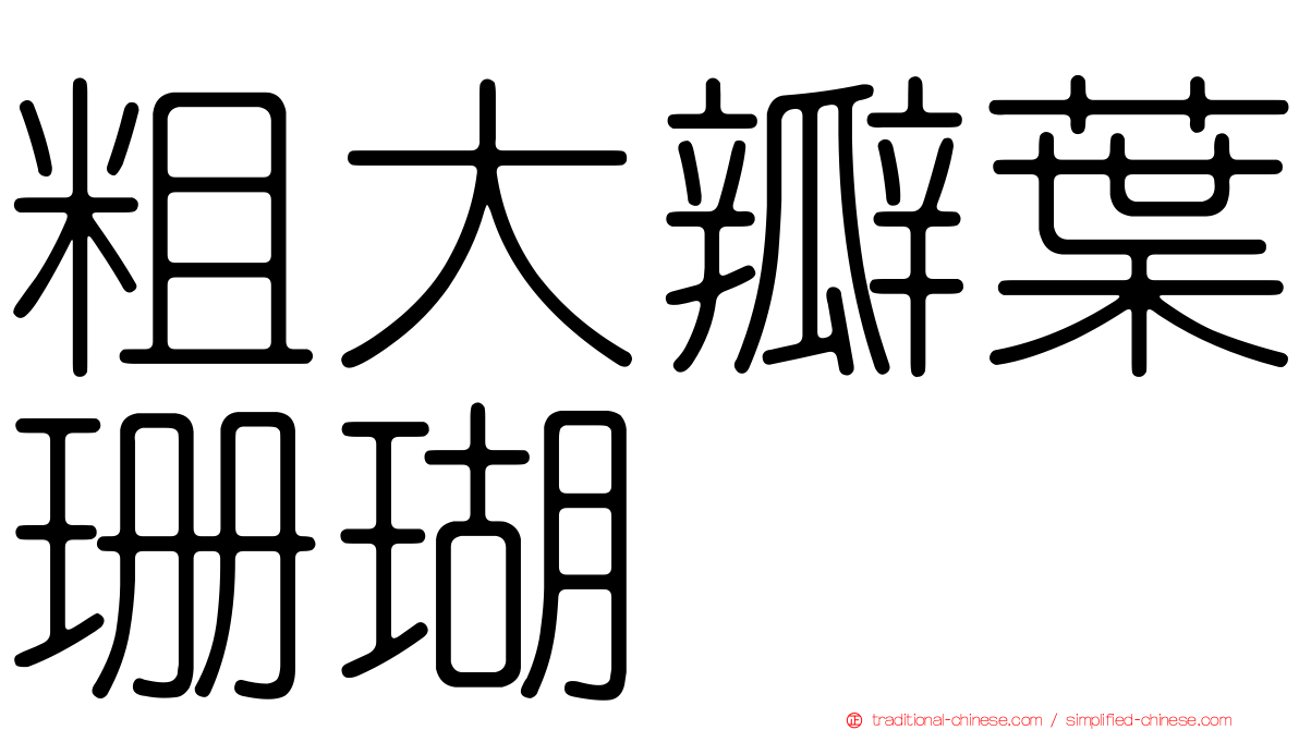 粗大瓣葉珊瑚