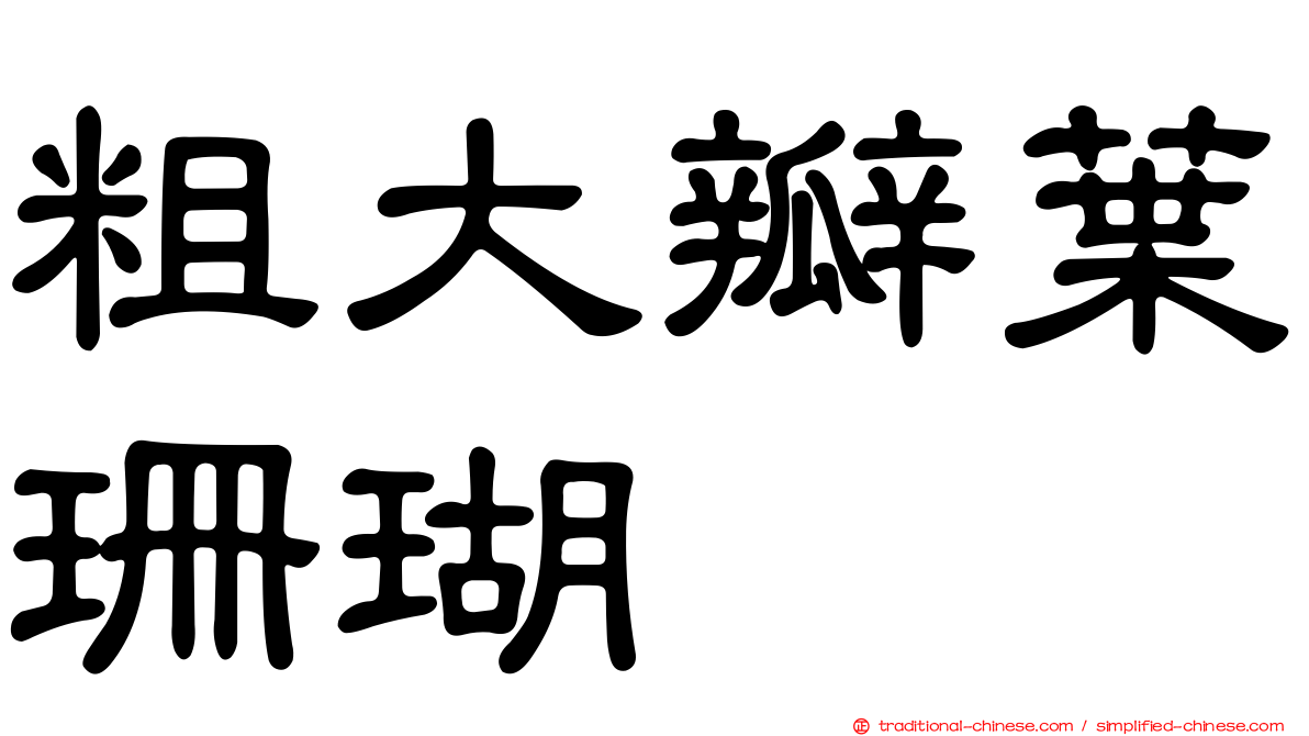 粗大瓣葉珊瑚
