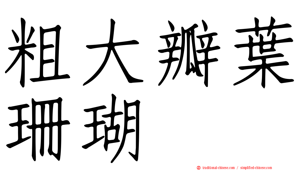 粗大瓣葉珊瑚