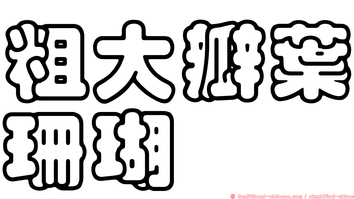 粗大瓣葉珊瑚