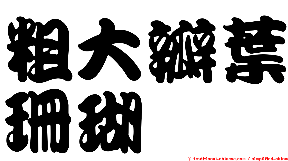 粗大瓣葉珊瑚