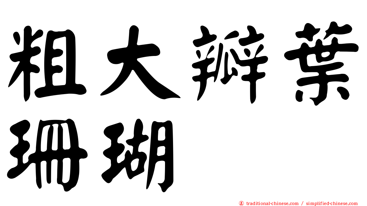 粗大瓣葉珊瑚