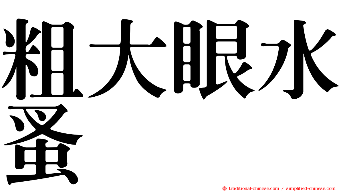 粗大眼水蚤