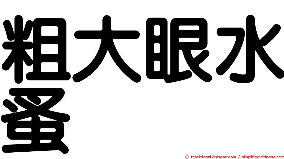 粗大眼水蚤
