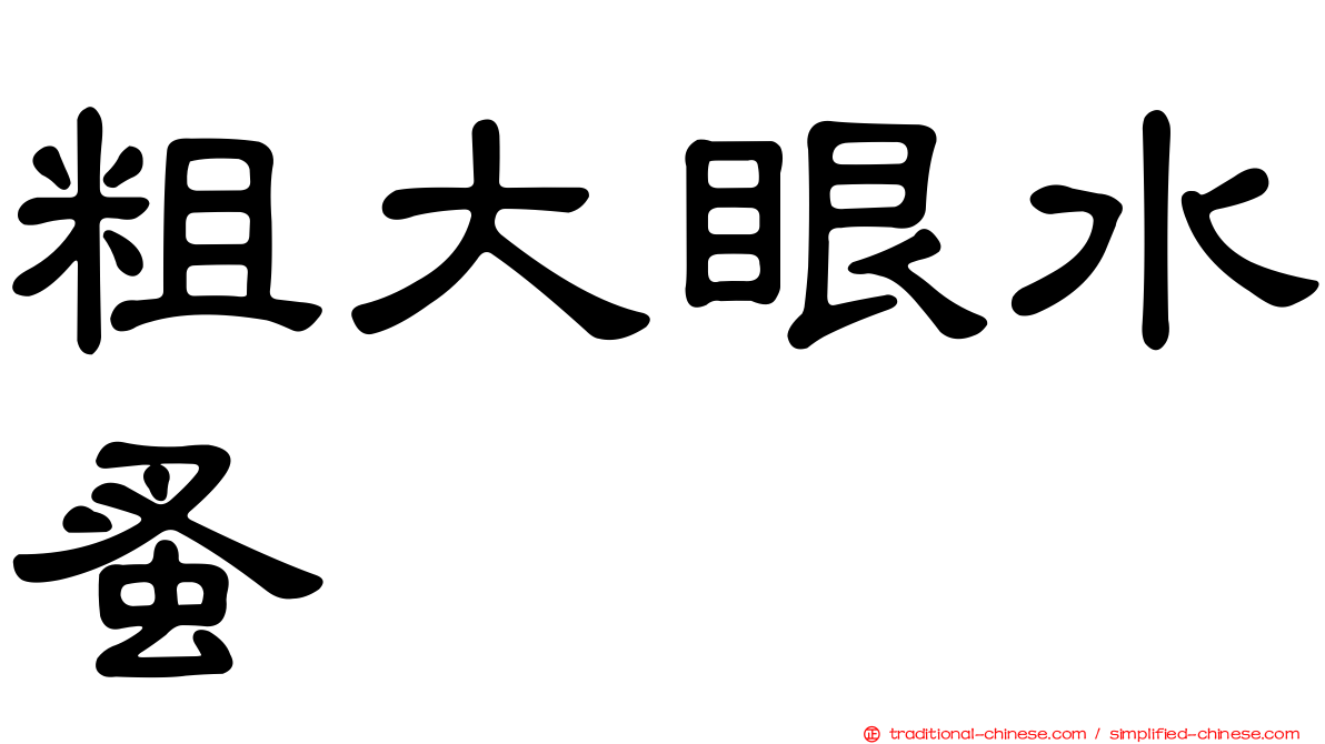 粗大眼水蚤