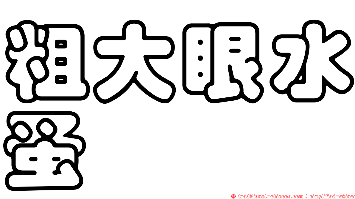 粗大眼水蚤