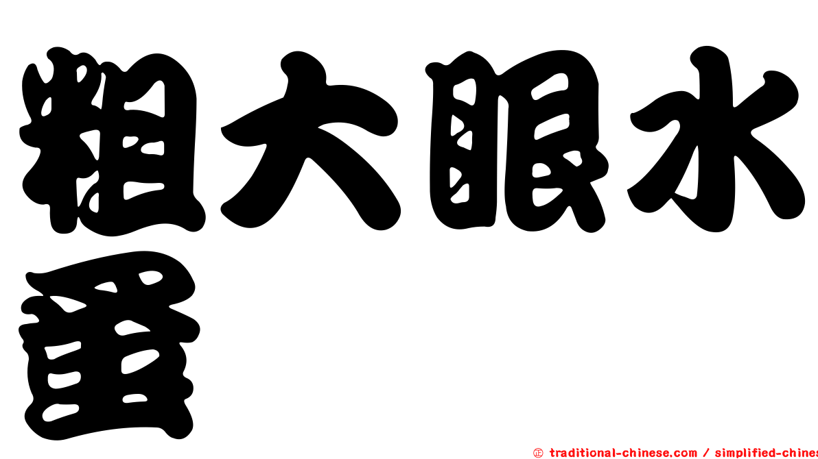 粗大眼水蚤