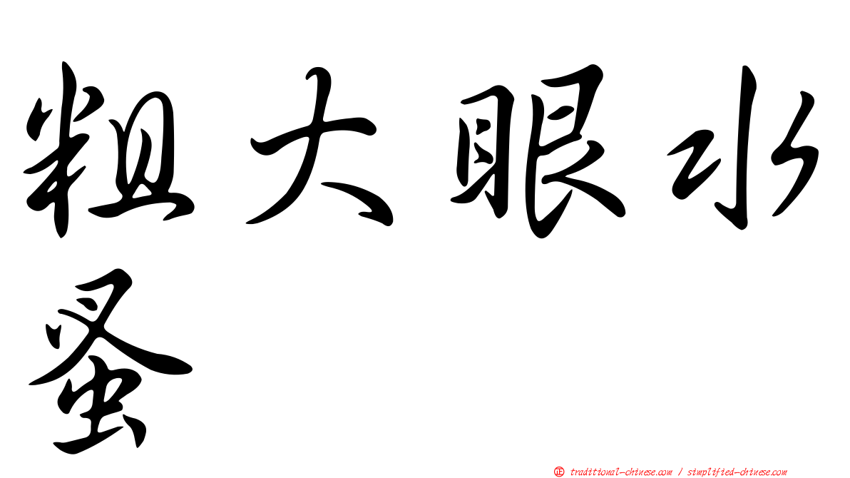 粗大眼水蚤