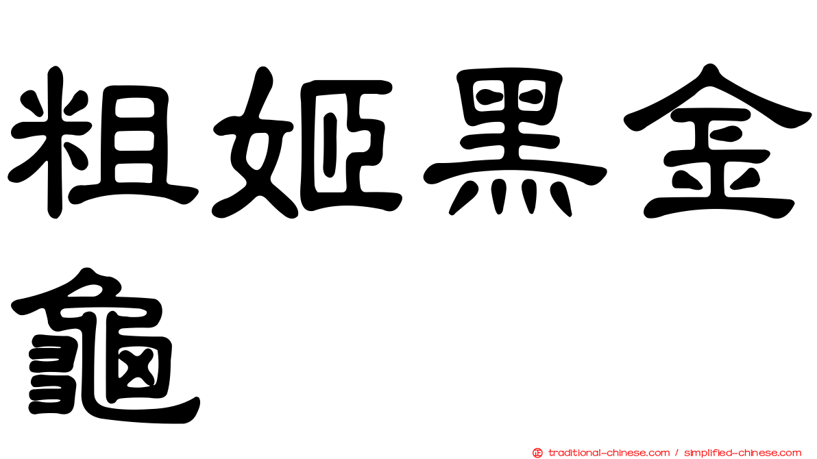 粗姬黑金龜