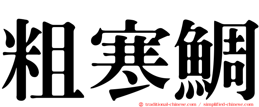 粗寒鯛