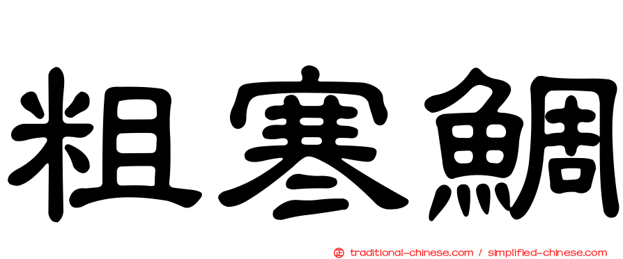 粗寒鯛