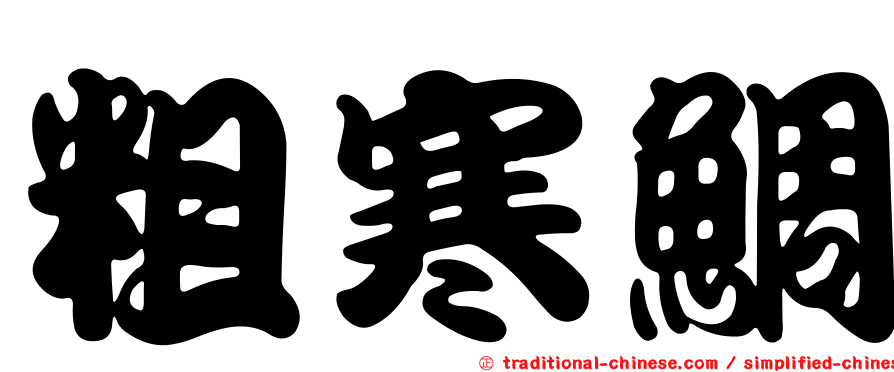 粗寒鯛
