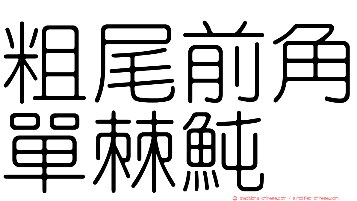 粗尾前角單棘魨