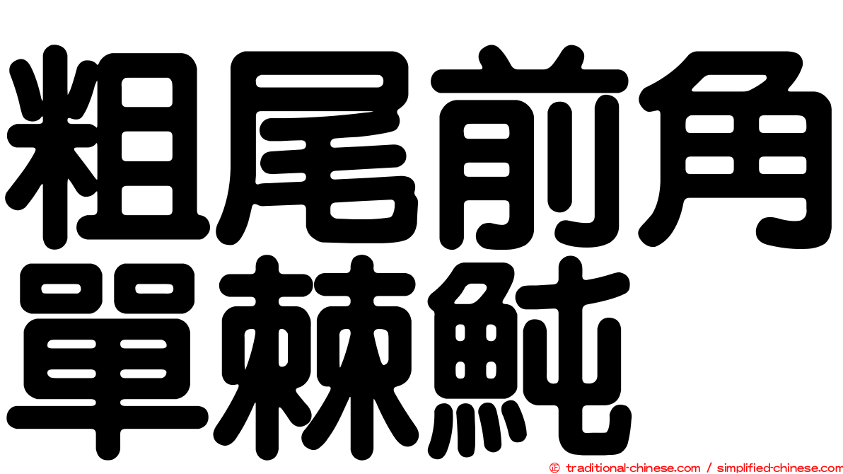 粗尾前角單棘魨