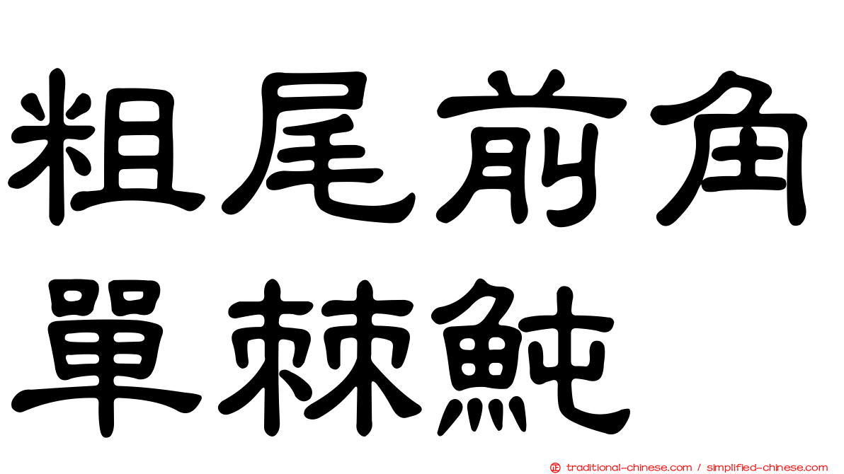 粗尾前角單棘魨