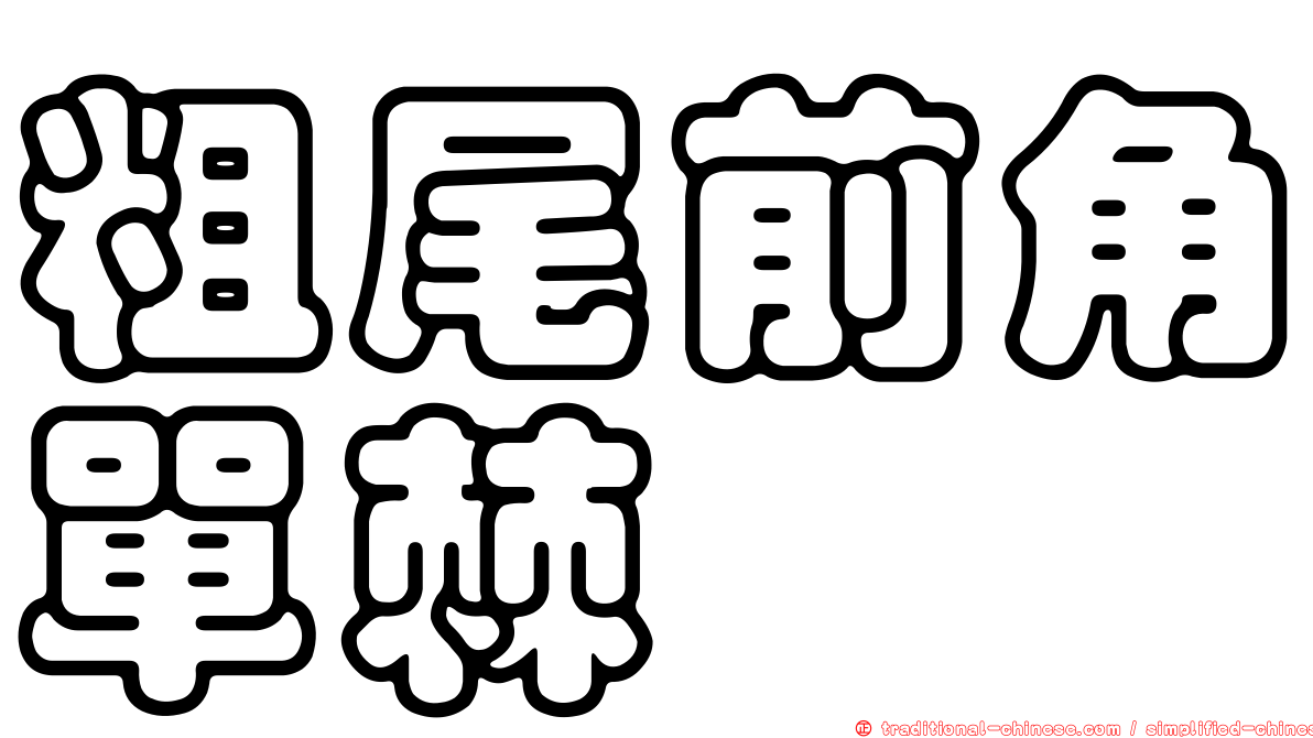 粗尾前角單棘魨